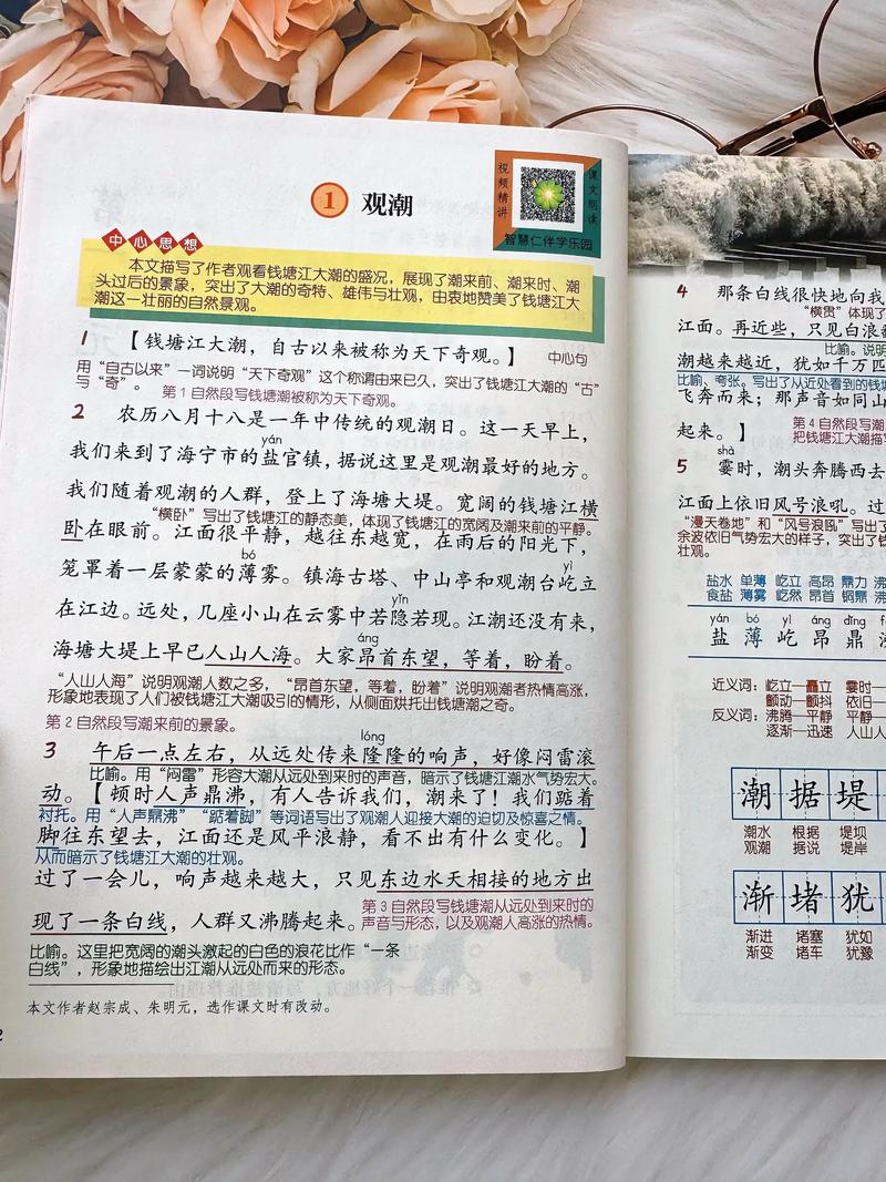 2025国考解析课重点在哪?-图2 2025国考解析课重点在哪?-图2