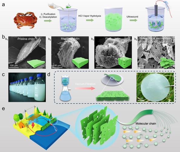 生物质能源与材料考研，方向与难度如何？-图1