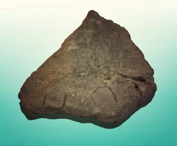 中科院考博沉积岩石学怎么备考?-图1 中科院考博沉积岩石学怎么备考?-图1