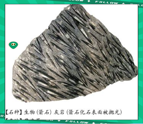 中科院考博沉积岩石学怎么备考？-图2