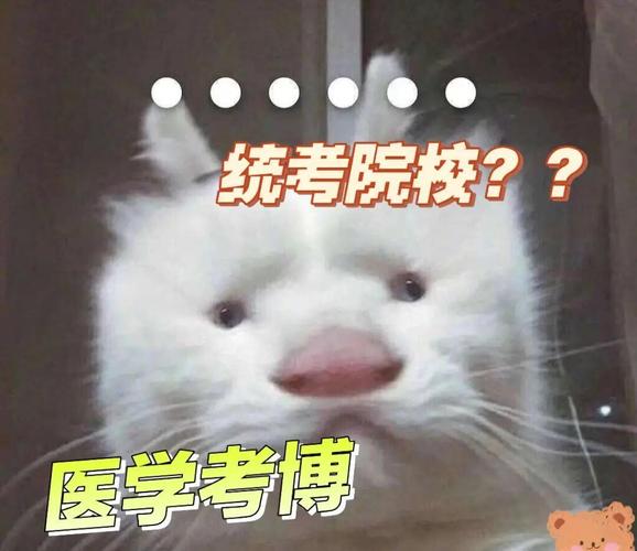 中文系双非研究生考博，机会有多大？-图2