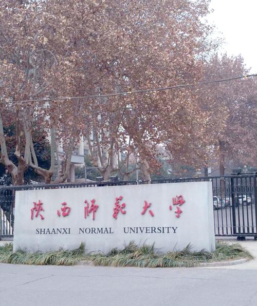 陕师大19考研报考人数多少？-图1