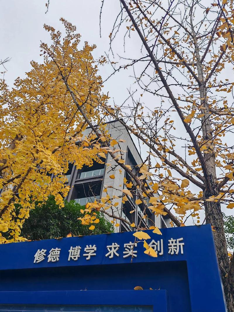 重庆邮电大学考研考场具体位置在哪?-图3 重庆邮电大学考研考场具体位置在哪?-图3
