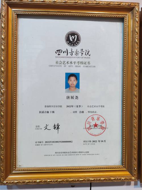 四川音乐学院音乐考博有哪些关键要求？-图1