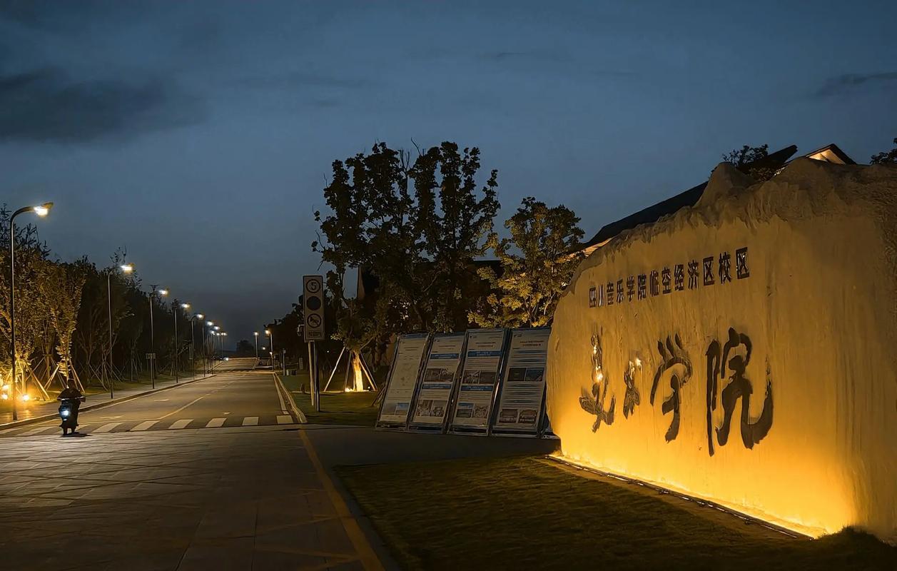 四川音乐学院音乐考博有哪些关键要求？-图3