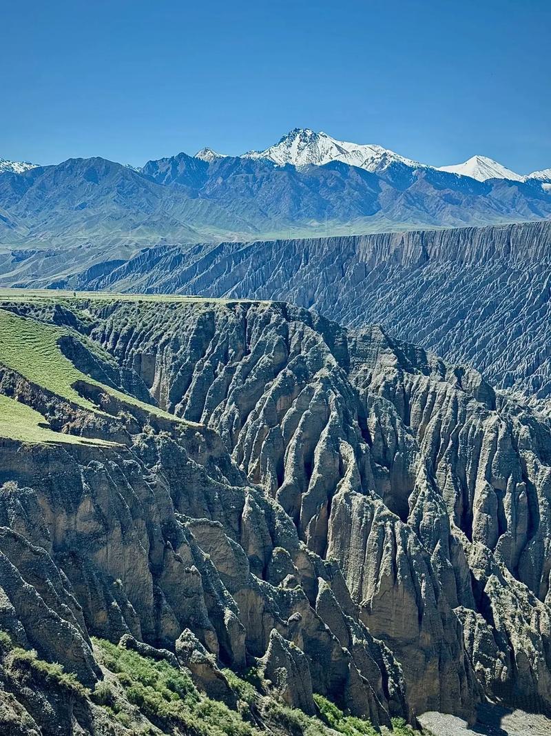 新疆大学自然地理考博如何备考？-图1