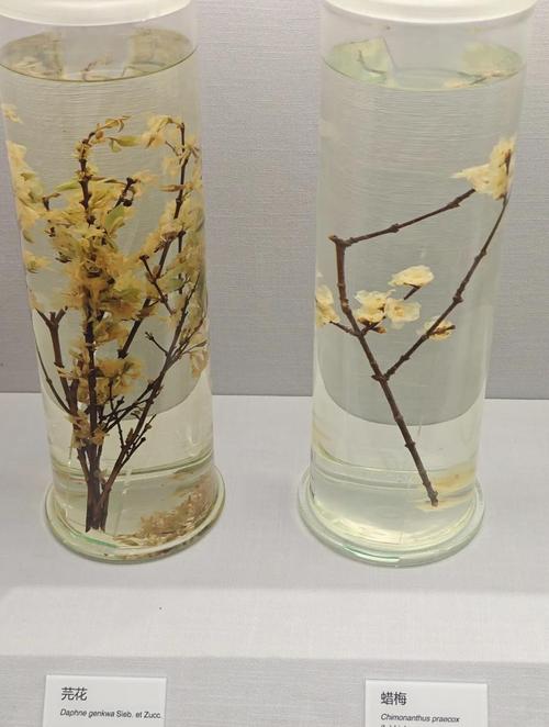 寒旱所植物生理学考博有何报考关键？-图2