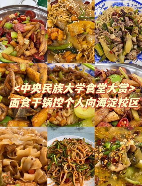 中央民族大学食品考研怎么准备？-图1