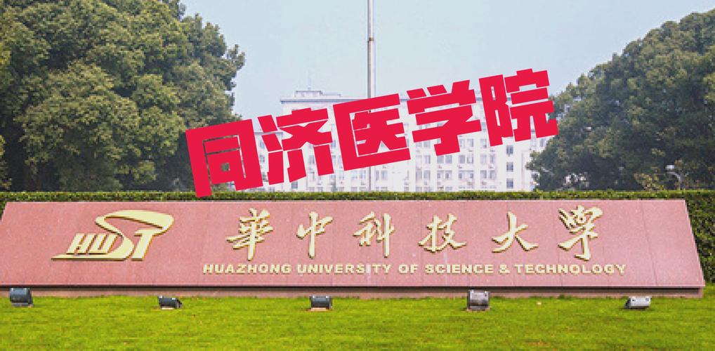 同济药学院研究生考博有何关键路径？-图3