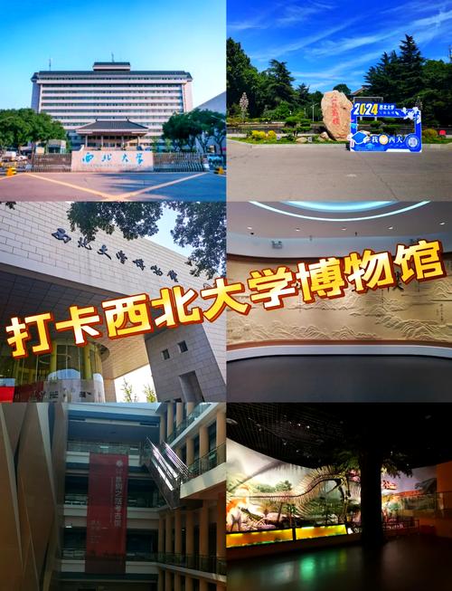 西北大学自然地理考博如何备考？-图3