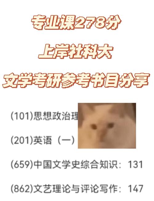 不考大综合的文学考研-图2