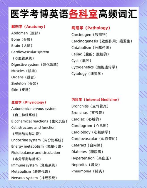 医学考博专业英语词汇如何高效掌握？-图1