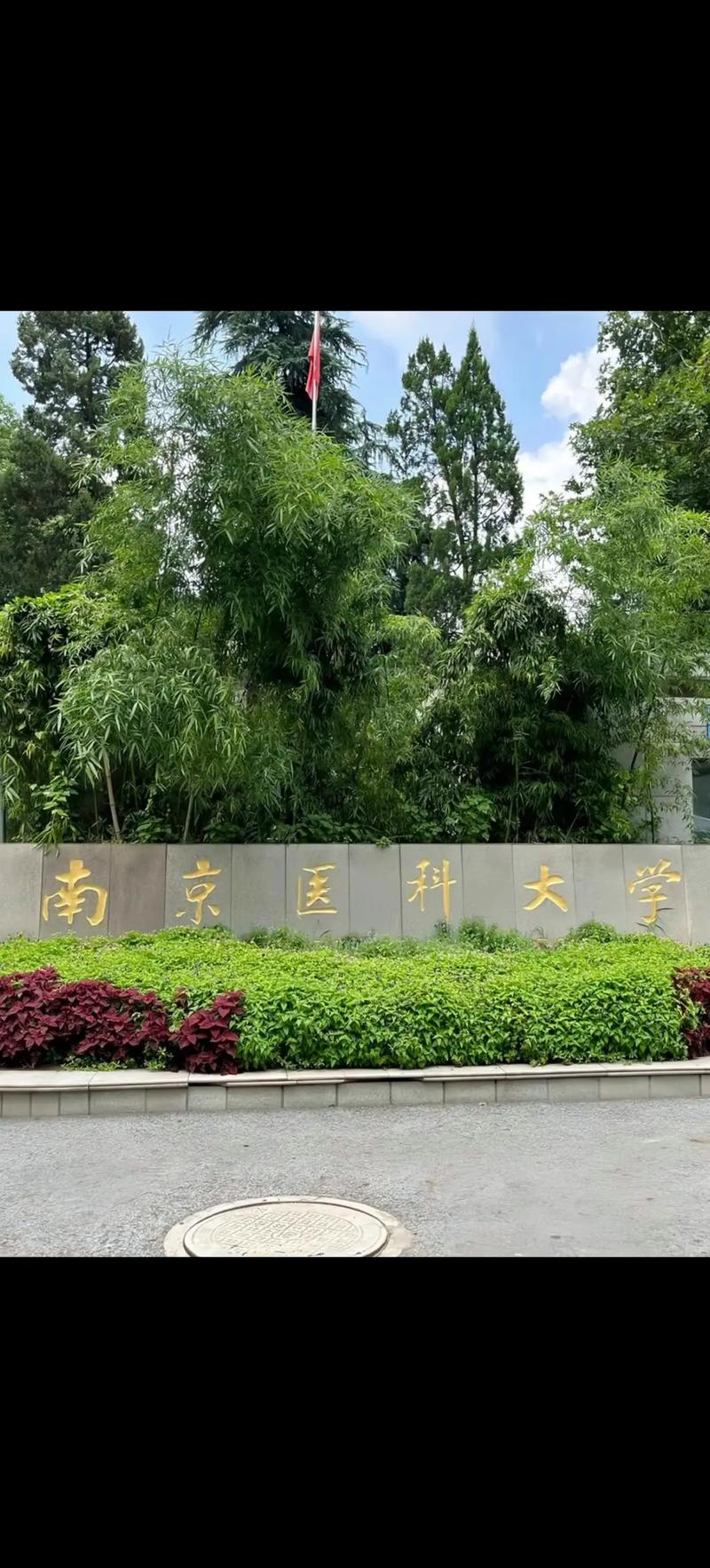南京医科大学考博论坛有何干货？-图2